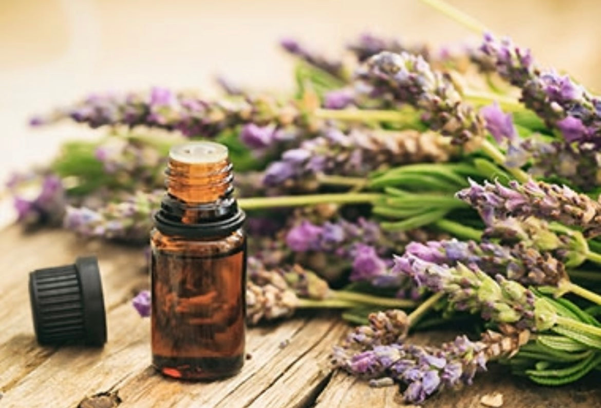 Aromatherapy & Natural Perfume Sample Kit