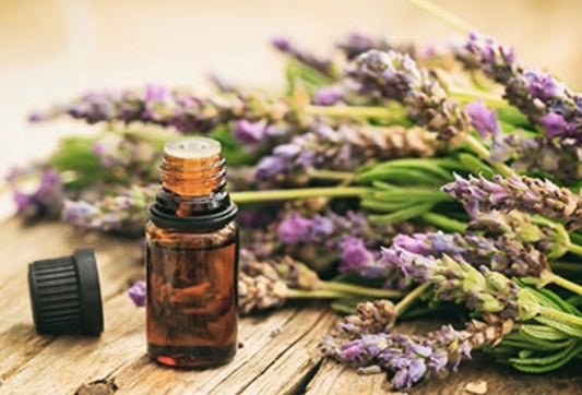 Aromatherapy & Natural Perfume Sample Kit
